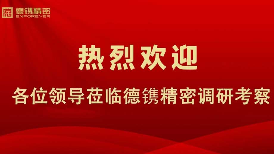 山西省永济市市委书记何伟率队到德镌调研考察